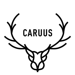 Caruus logo