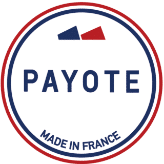Logo Payote