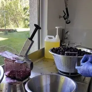 Un brun gourmand les confitures