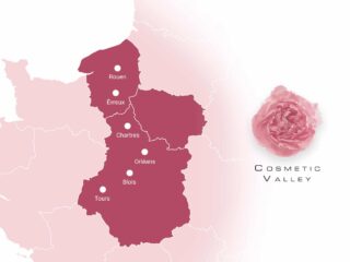 cosmetic-valley