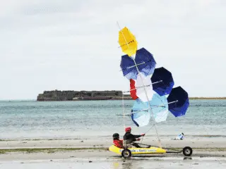 Le Parapluie de Cherbourg