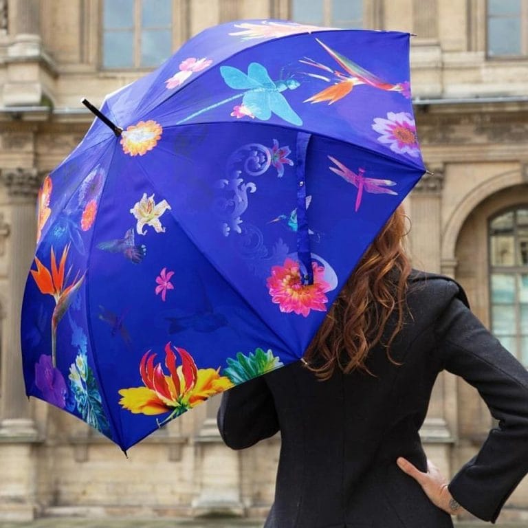 Guy de Jean parapluie bleu
