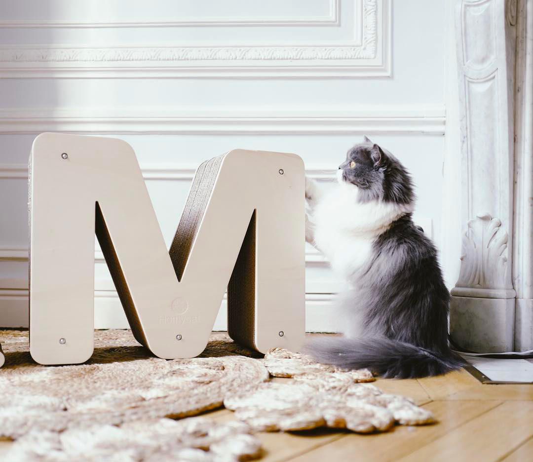 Homycat M lettre griffoir rechargeable Lynn photo Vanessa Pouzet Homycat - griffoir pour chats