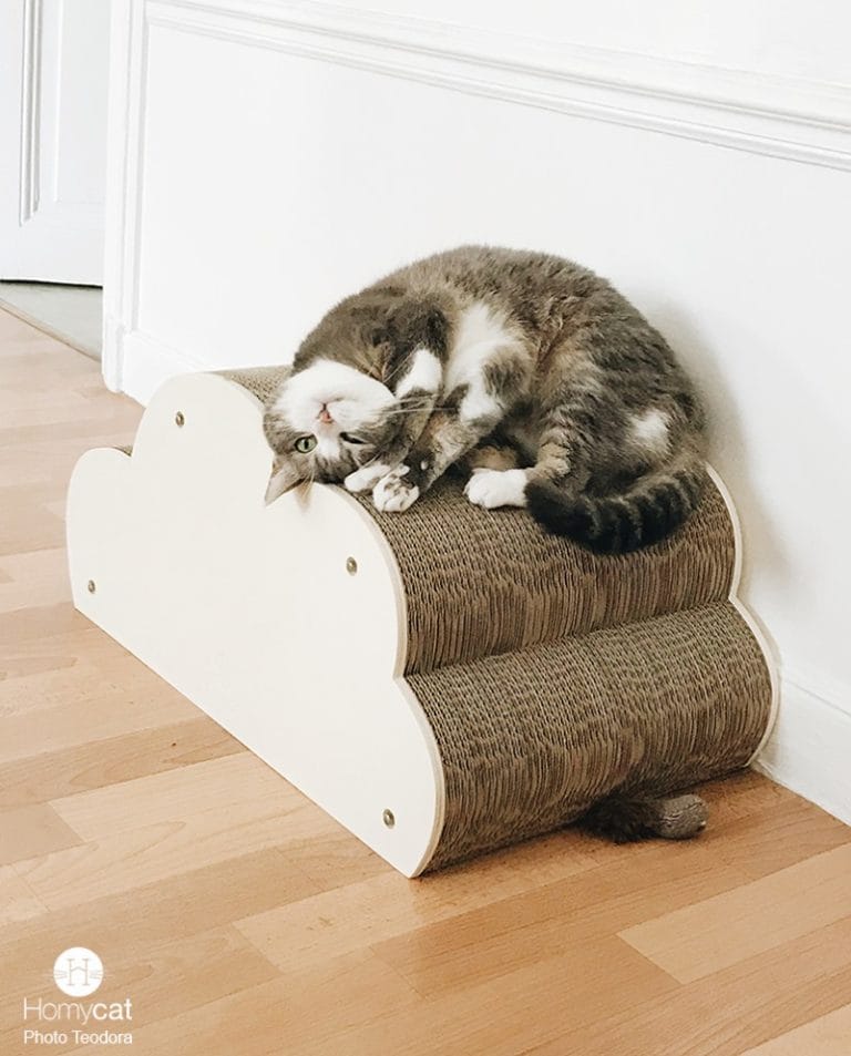 Homycat griffoir