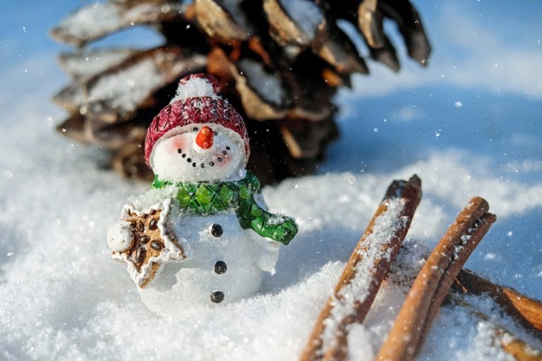 Noel decoration image article