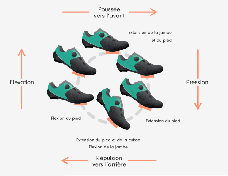 Mecacote 4 phases du pédalage au niveau du pied