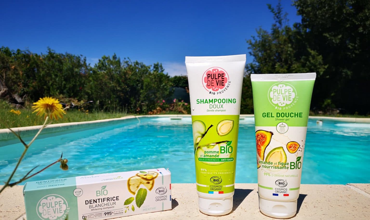 Pulpe De Vie Bio Gesichtsserum #Nofilter – Mit Gurke, Für Aknehaut, 30 Ml, 100% Natürlich