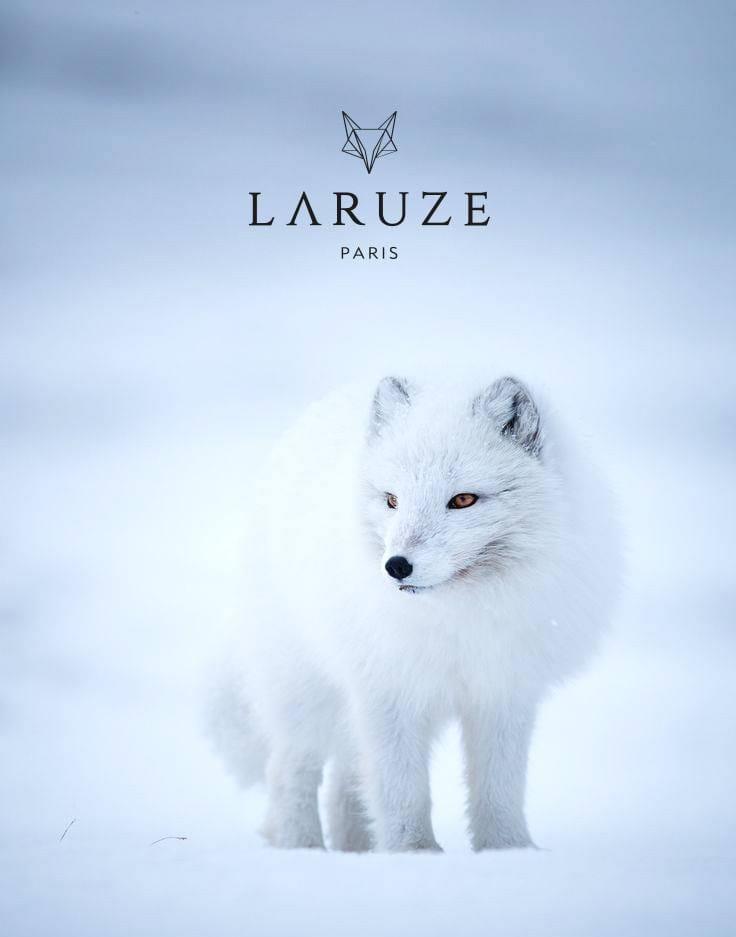 Laruze emblème renard polaire