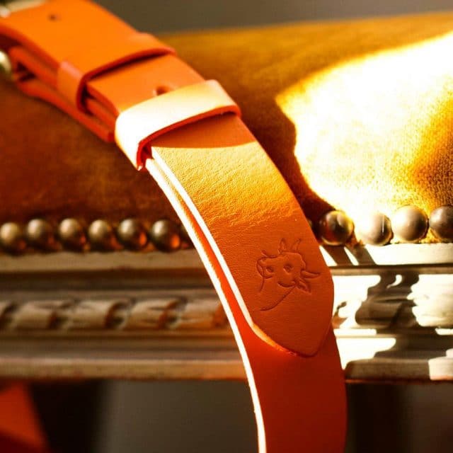 Le cuir est dans le pré ceinture image principale