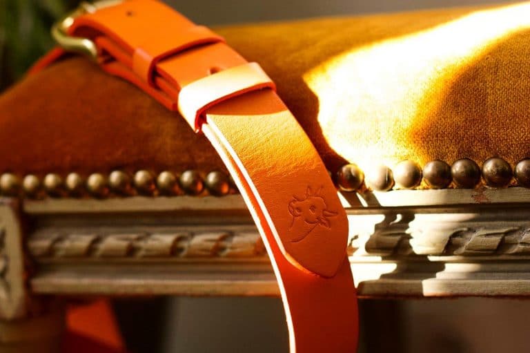 Le cuir est dans le pré ceinture image principale