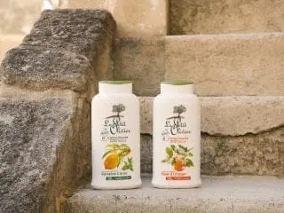 Le Petit Olivier Le Petit Olivier