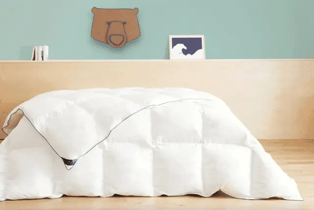 Tediber - L’incroyable couette