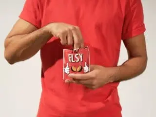 ELSY