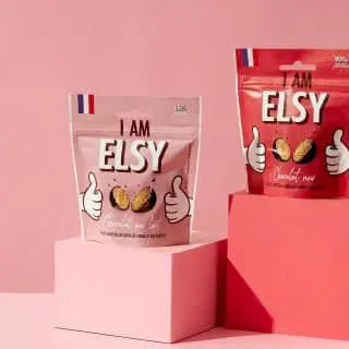 ELSY