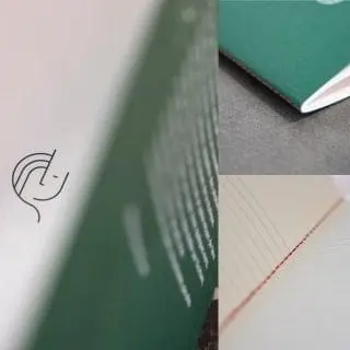 La fille des carnets impression