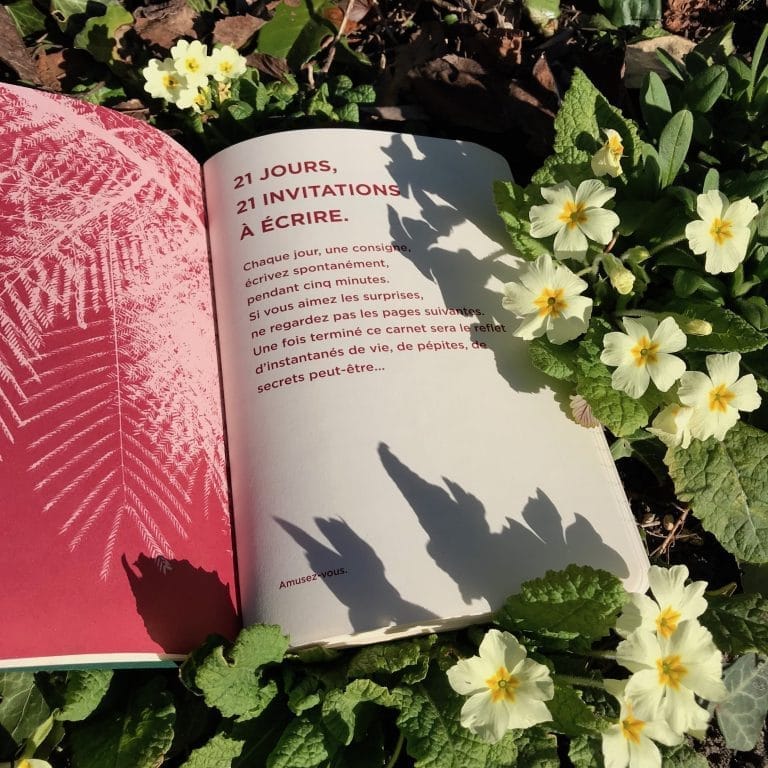 La fille des carnets