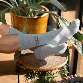 Garçon Français- Chaussettes grises