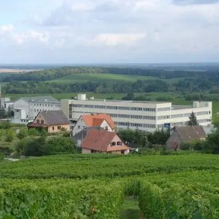 Labonal-site de production