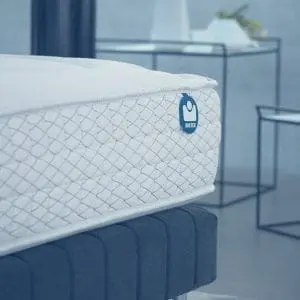 Bultex-modele1