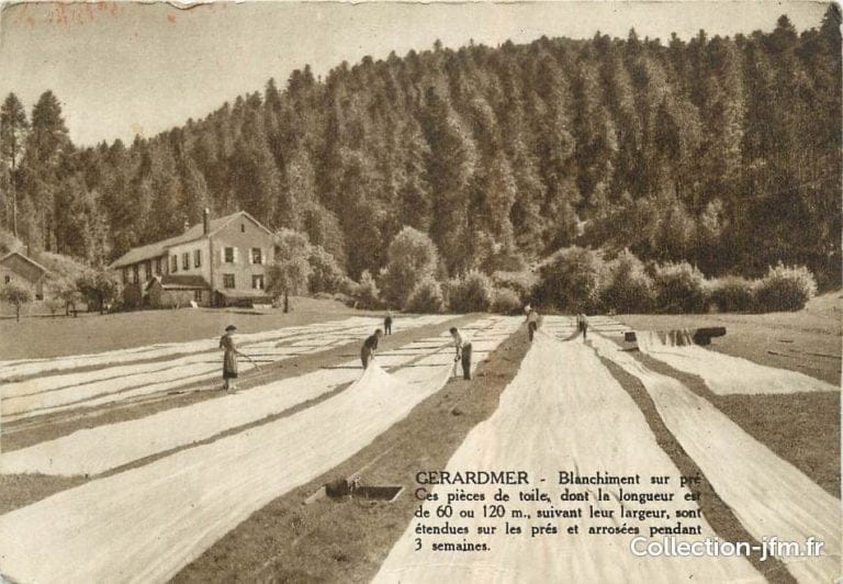 Blanchiment sur pré dans les Vosges