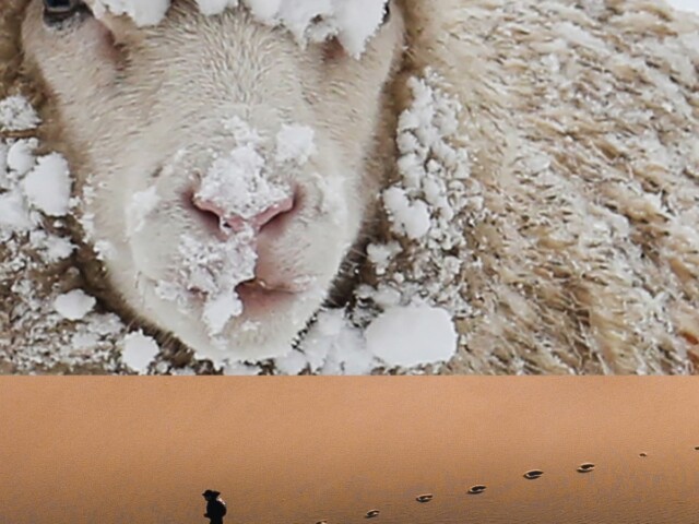 ogarun visuel institutionnel e1772632414154 Ogarun-Visuel-Institutionnel