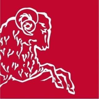 Logo Brun de Vian-Tiran