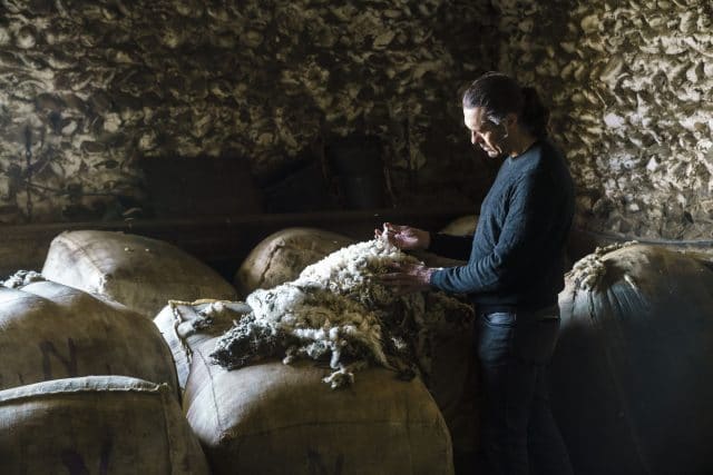 Sélection de laine mérinos Brun de Vian Tiran