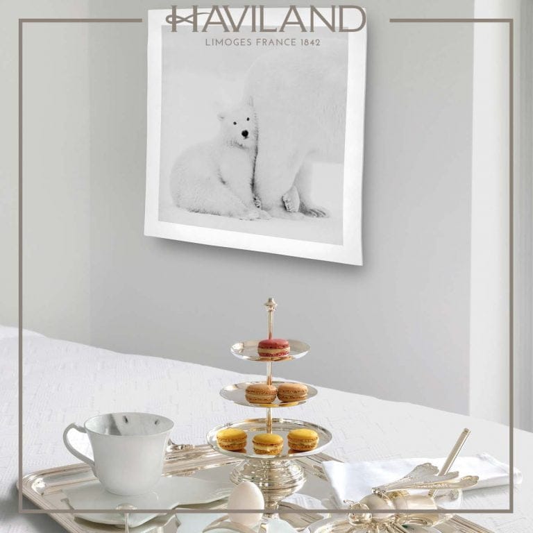 Haviland-gouter