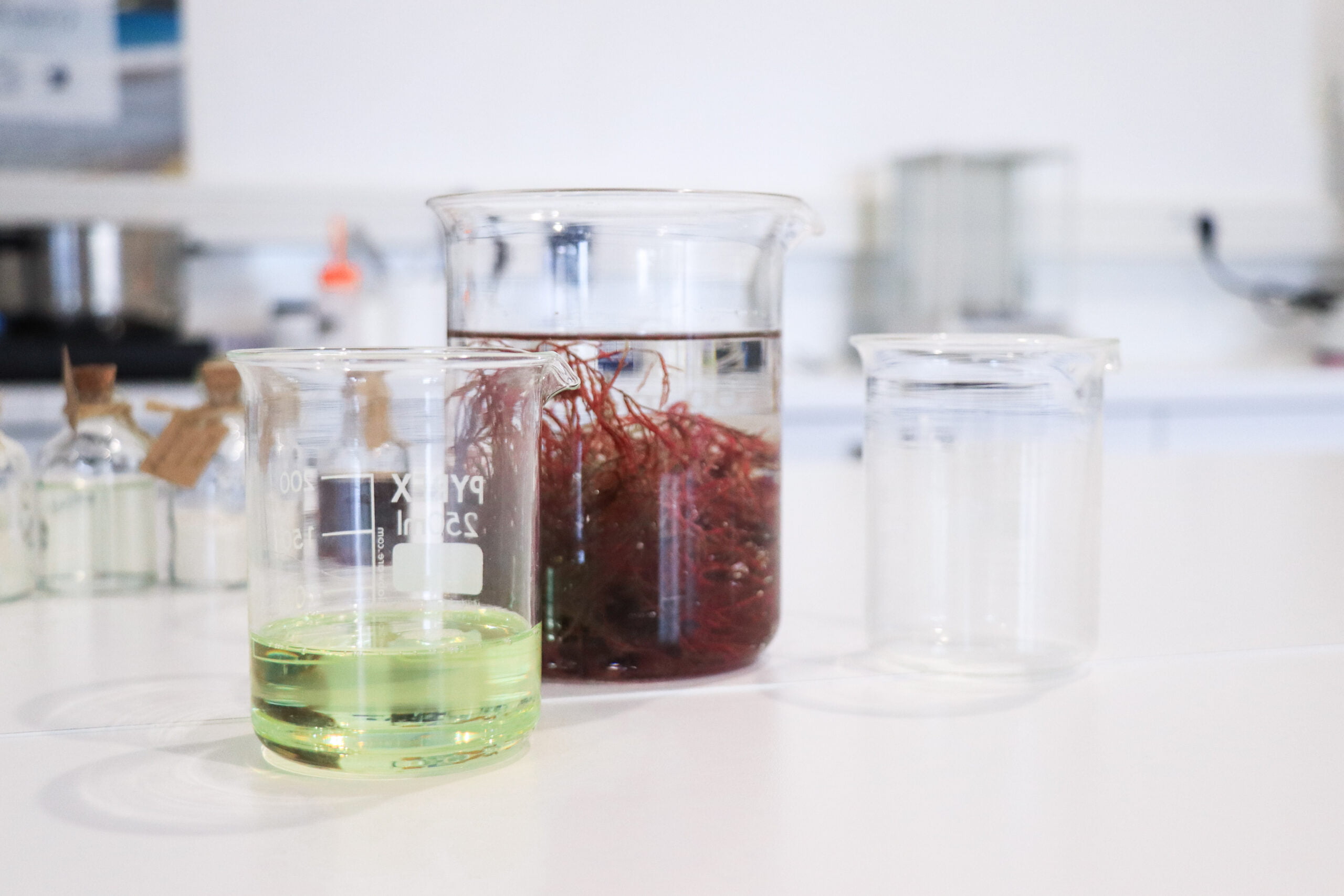 Laboratoires de Biarritz