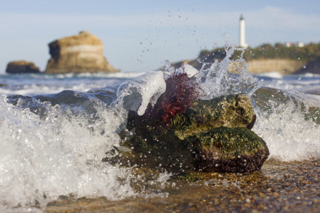 Laboratoires de Biarritz
