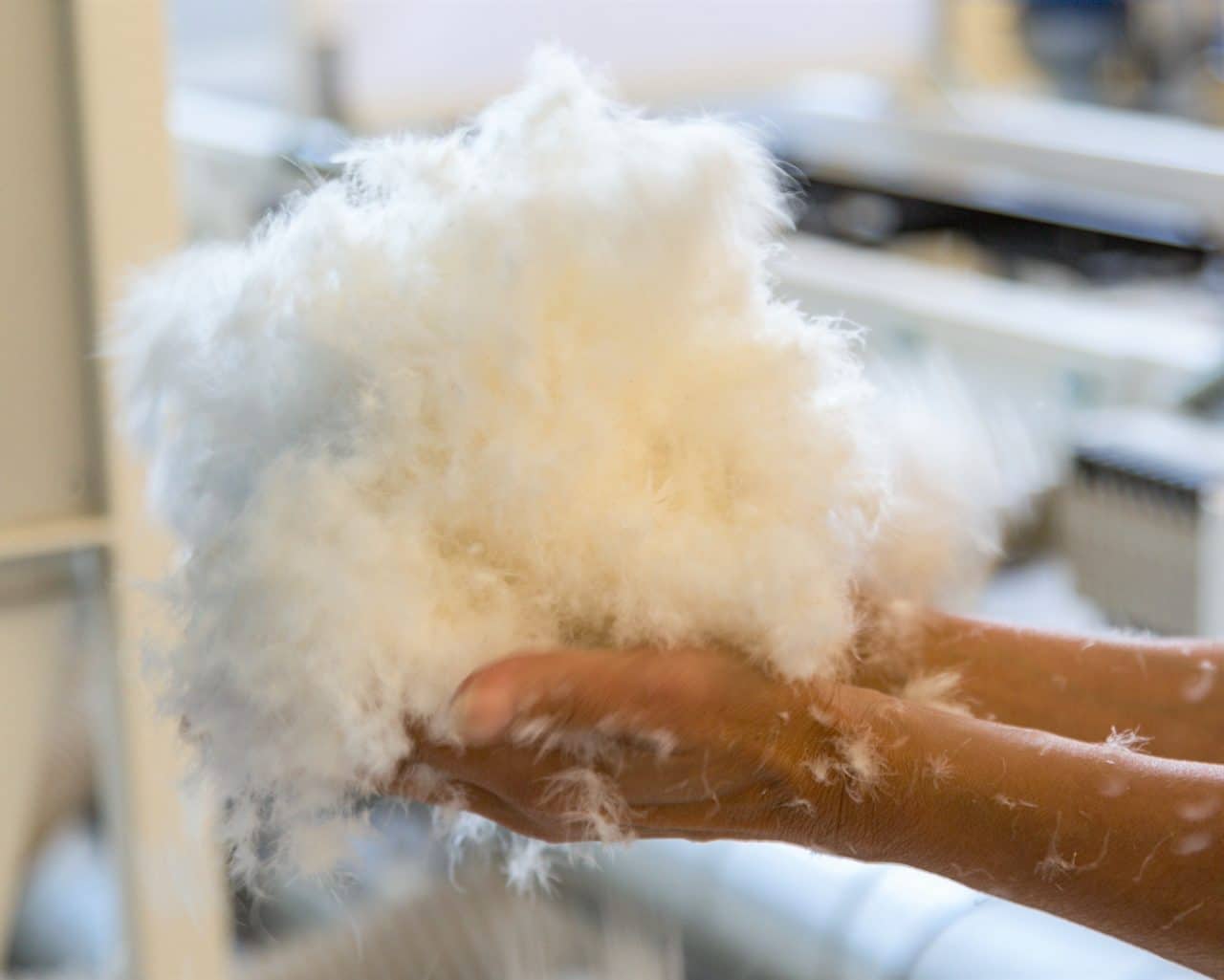 Castex couverture en duvet