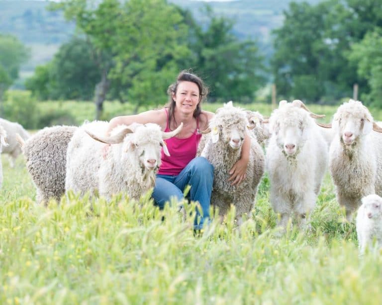 La-ferme-daure-eleveuse