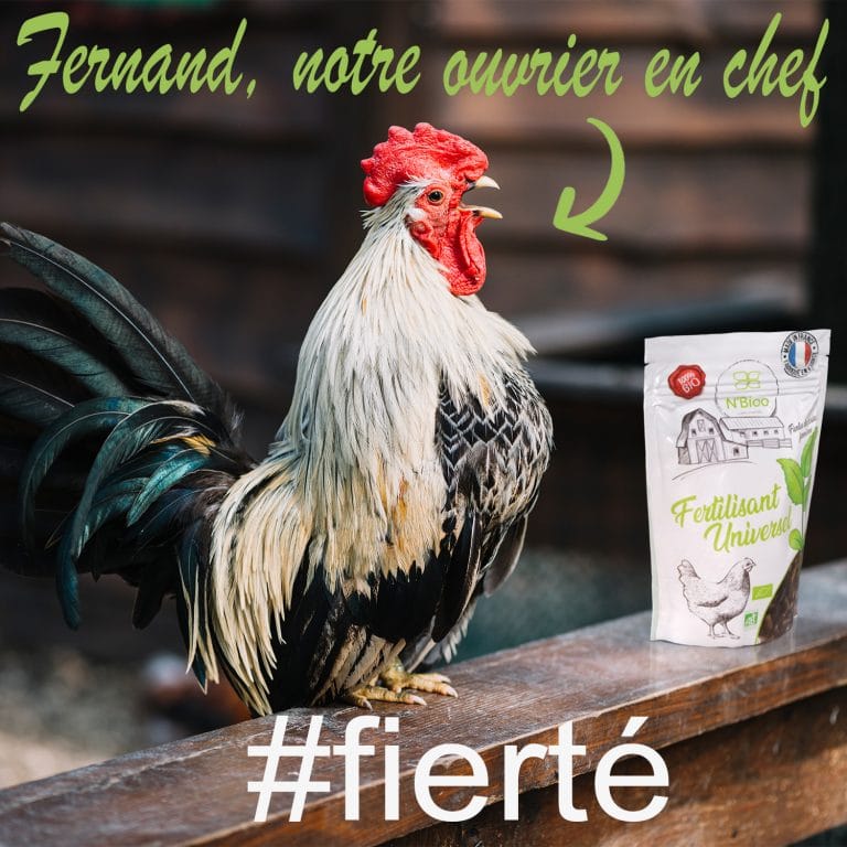 Nbioo-poulet