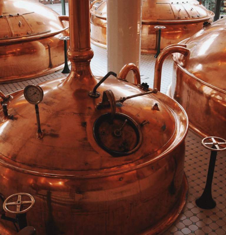 Hysope-cuve-production