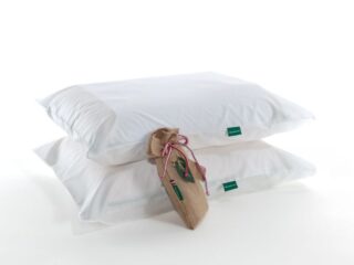 Le Matelas Vert
