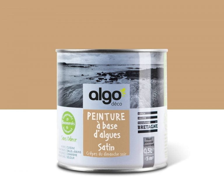 Algo-pot-de-peinture