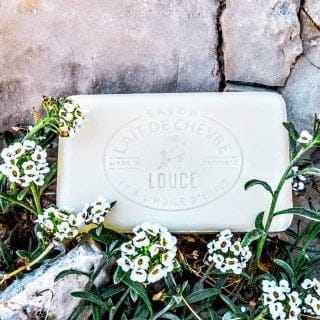 Louce-image-principale