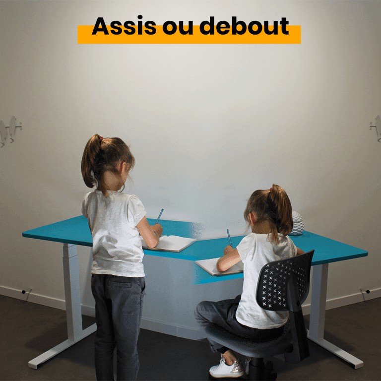 Makiba-bureau-evolutif-enfant