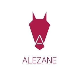 Logo Alezane Équitation
