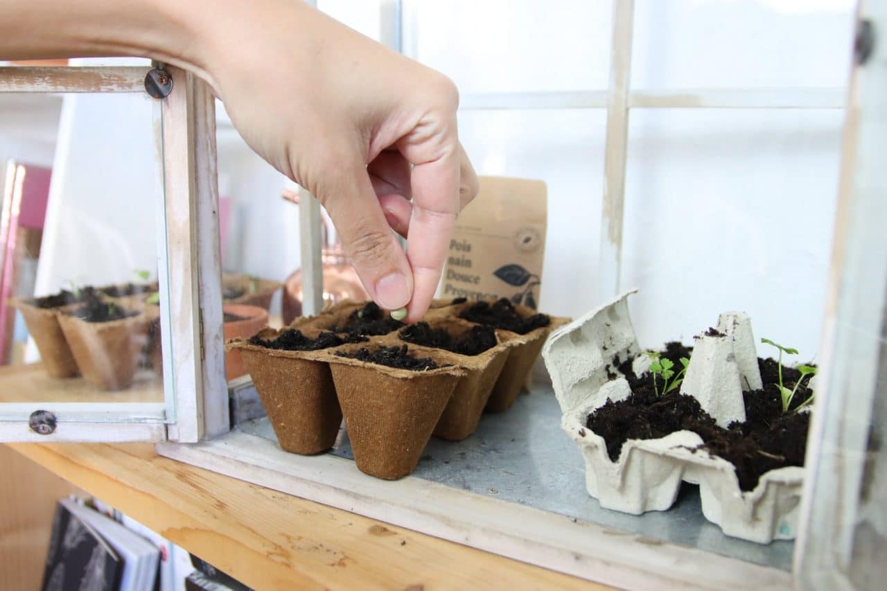 Le jardinage avec la Box à Planter