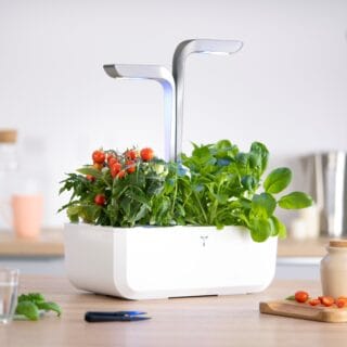Le potager d'intérieur autonome et compact.