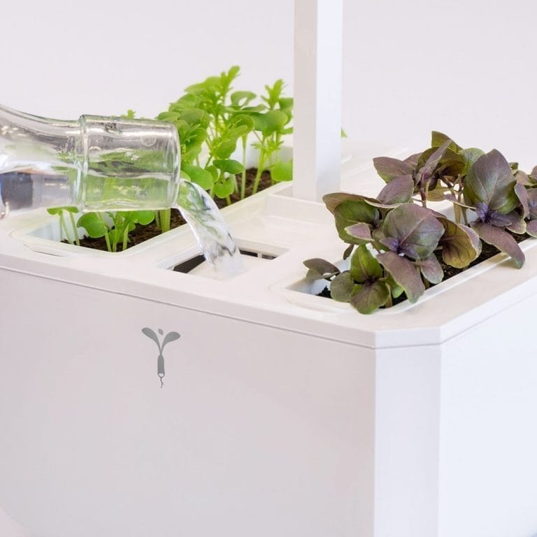 L'arrosage Véritable Potager