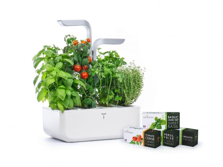 Le potager Véritable et ses recharges