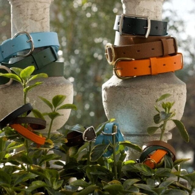 la ceinture Jopline Le cuir est dans le pré