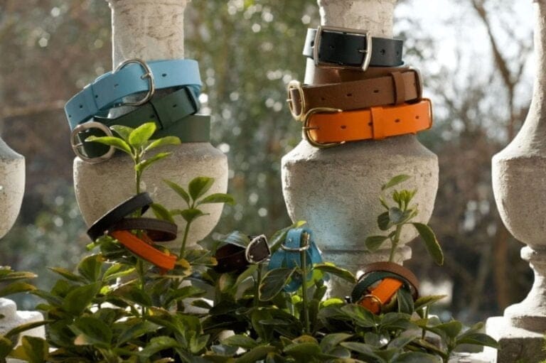 la ceinture Jopline Le cuir est dans le pré