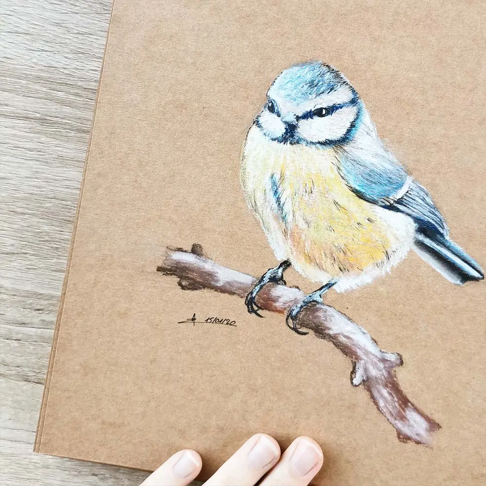 Mésange bleue par Ma Patte Laisse des Traces