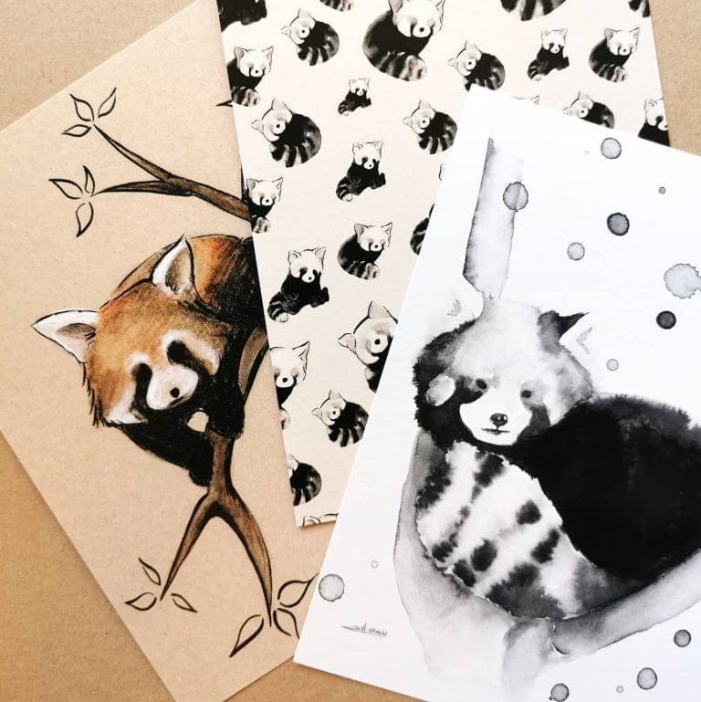 Le panda roux par Ma Patte Laisse des Traces