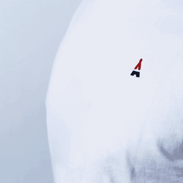 Logo brodé sur le t-shirt Maison FT