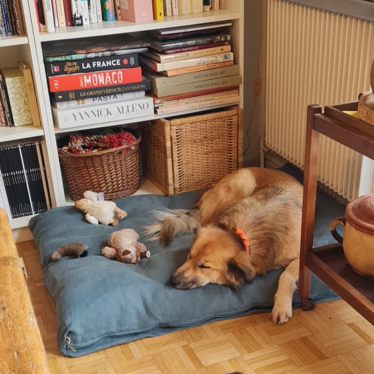 touyou matelas pour chien xxl bleu canard 1 touyou matelas pour chien xxl bleu canard 1