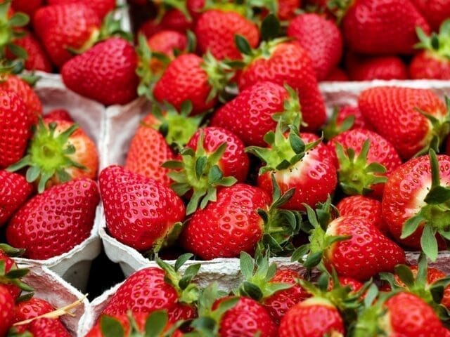 Fraises au marché